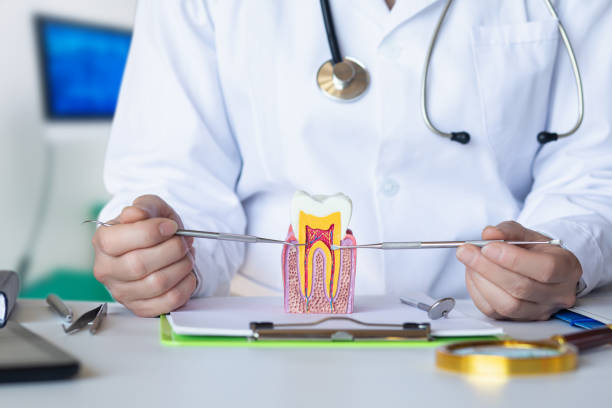Best Emergency Treatment for Oral Infections in Palacios, TX
